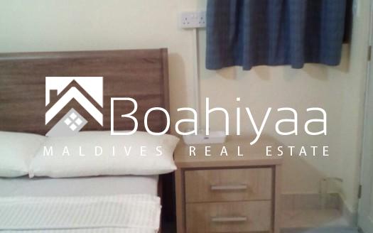 Rooms for Daily Rent
