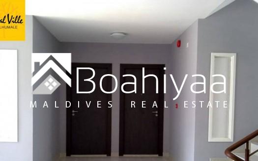 3 room Apartment