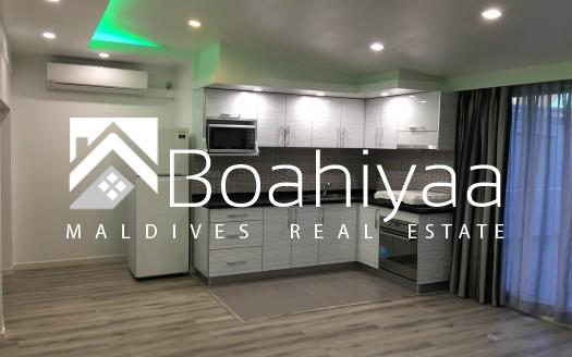 Luxury 3 bed room Apartment for rent