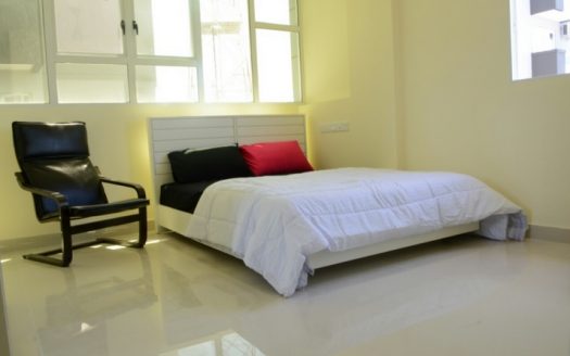 Fully Furnished Brand New Apartment For Rent