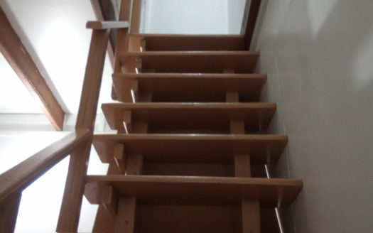 One room apartment for rent